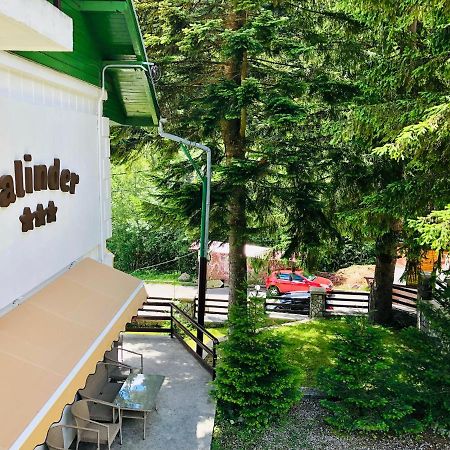 Pensiune & Restaurant Kalinder Buşteni Εξωτερικό φωτογραφία